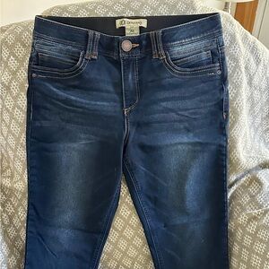 Democracy Indigo Skinny Jeans